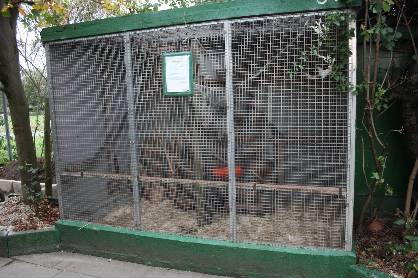 Chipmunk exhibit soon to be replaced, 23rd September 2014