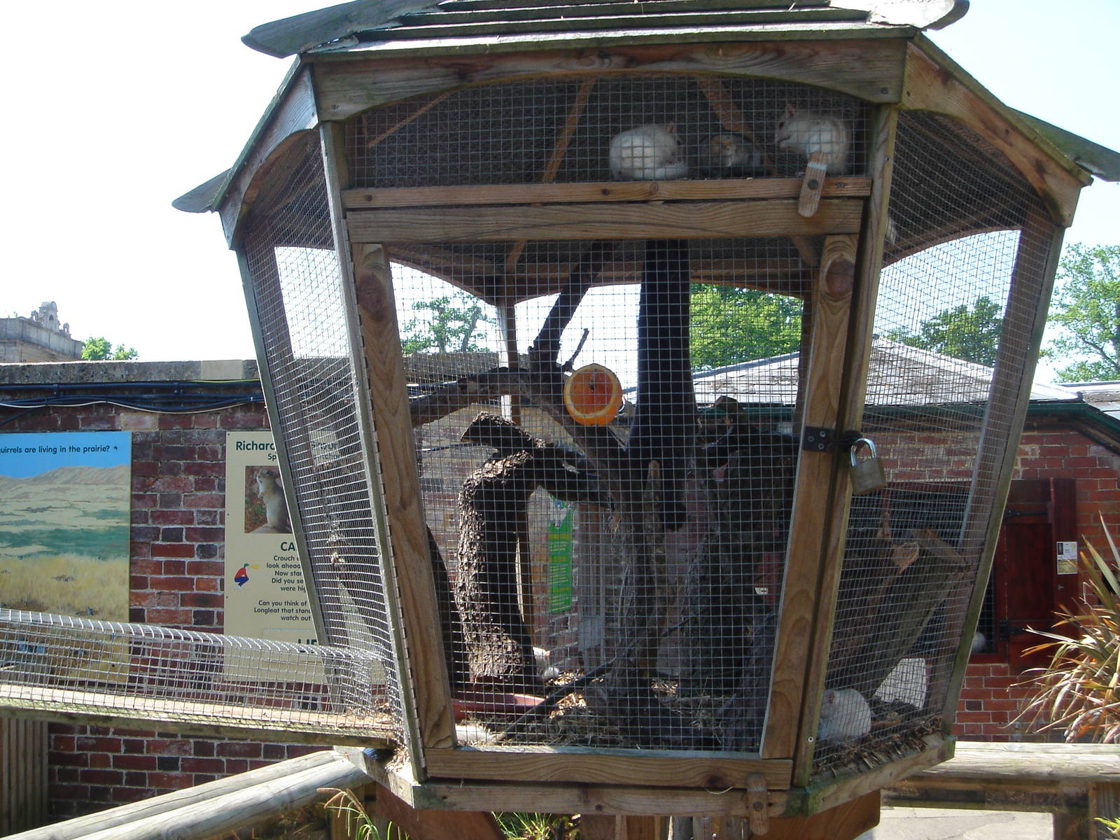 Chipmunk outpost of main enclosure