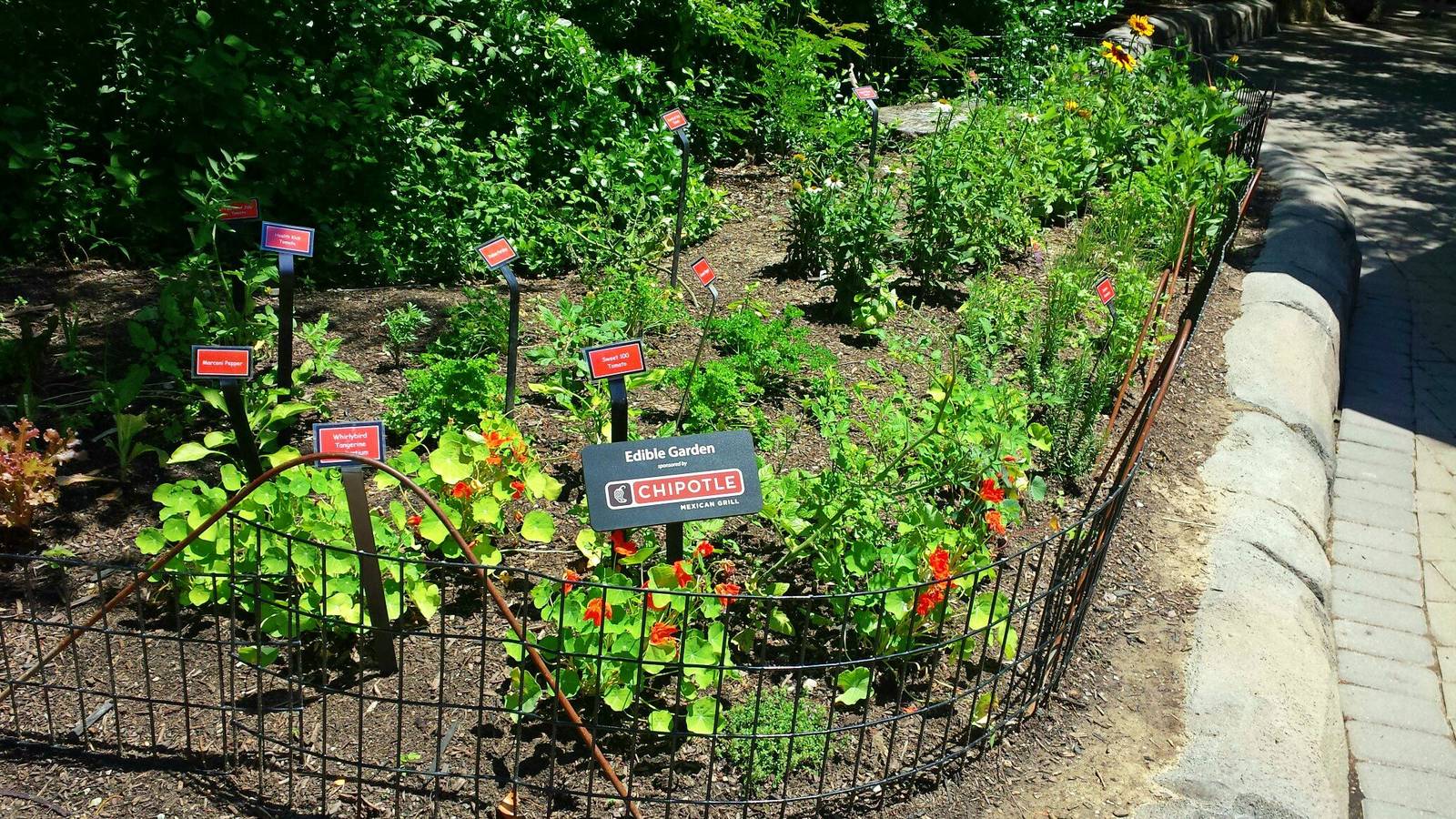 Chipotle Edible Garden