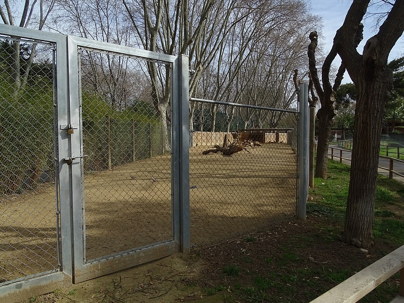 Chital and Pere Davids deer enclosure