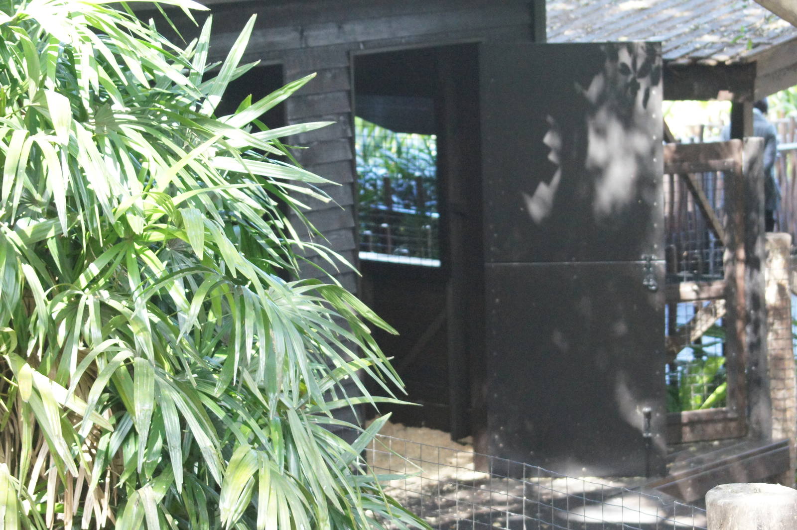 Chital deer exhibit additions