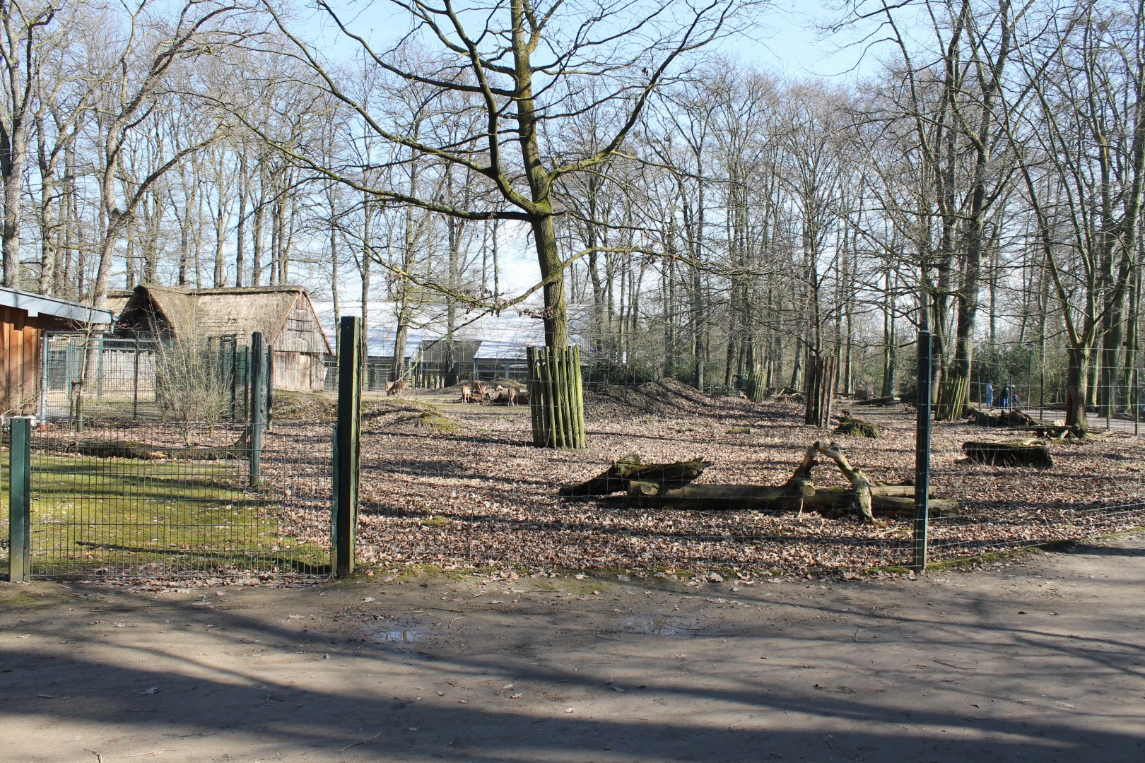 Chital-enclosure