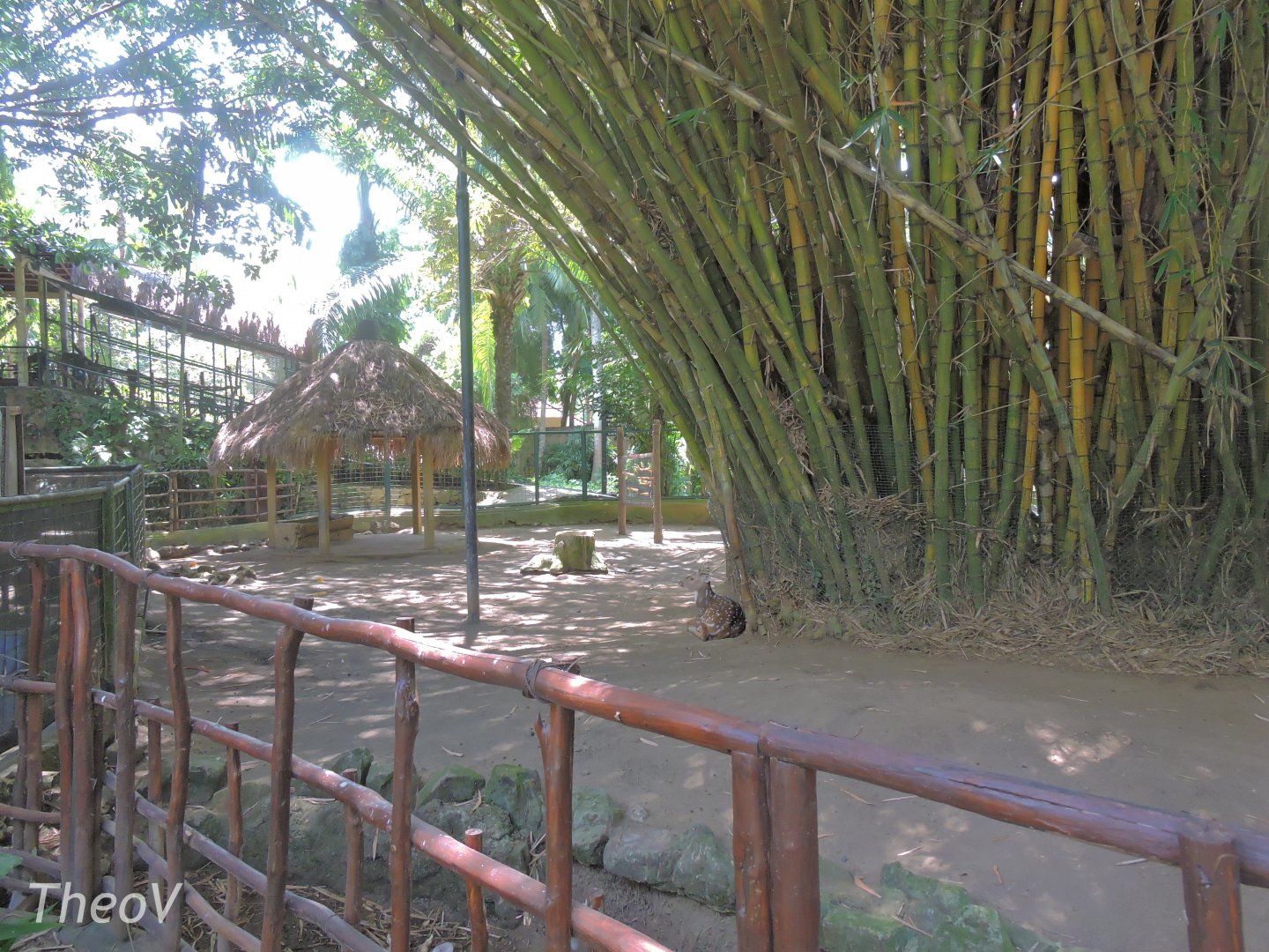 Chital exhibit [2016]