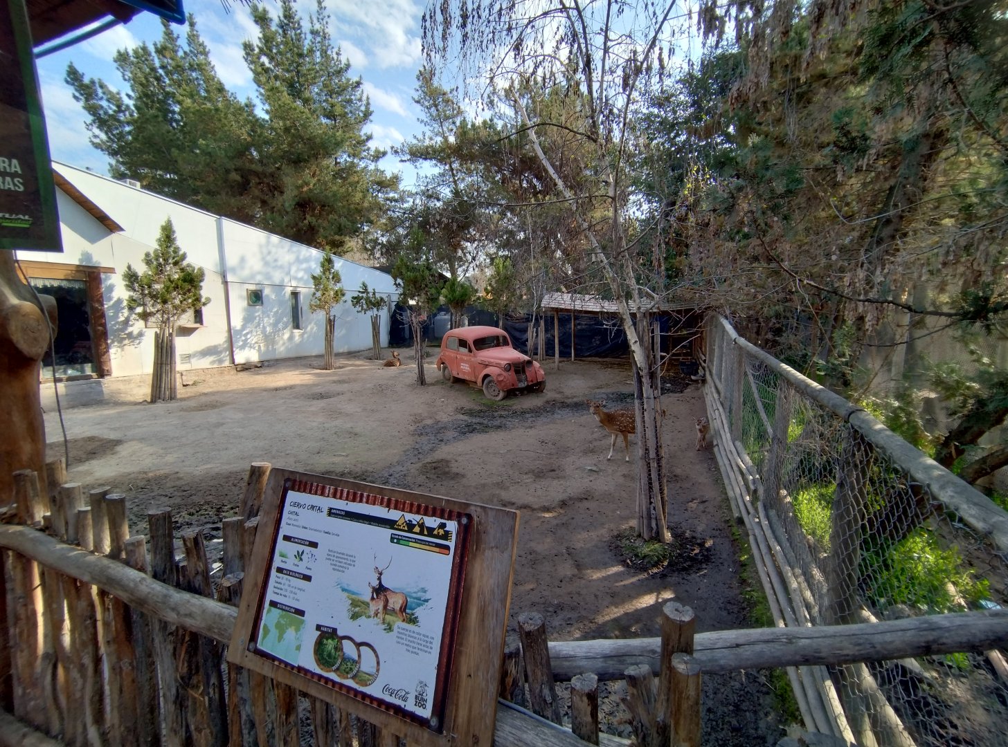 Chital exhibit - Buin zoo