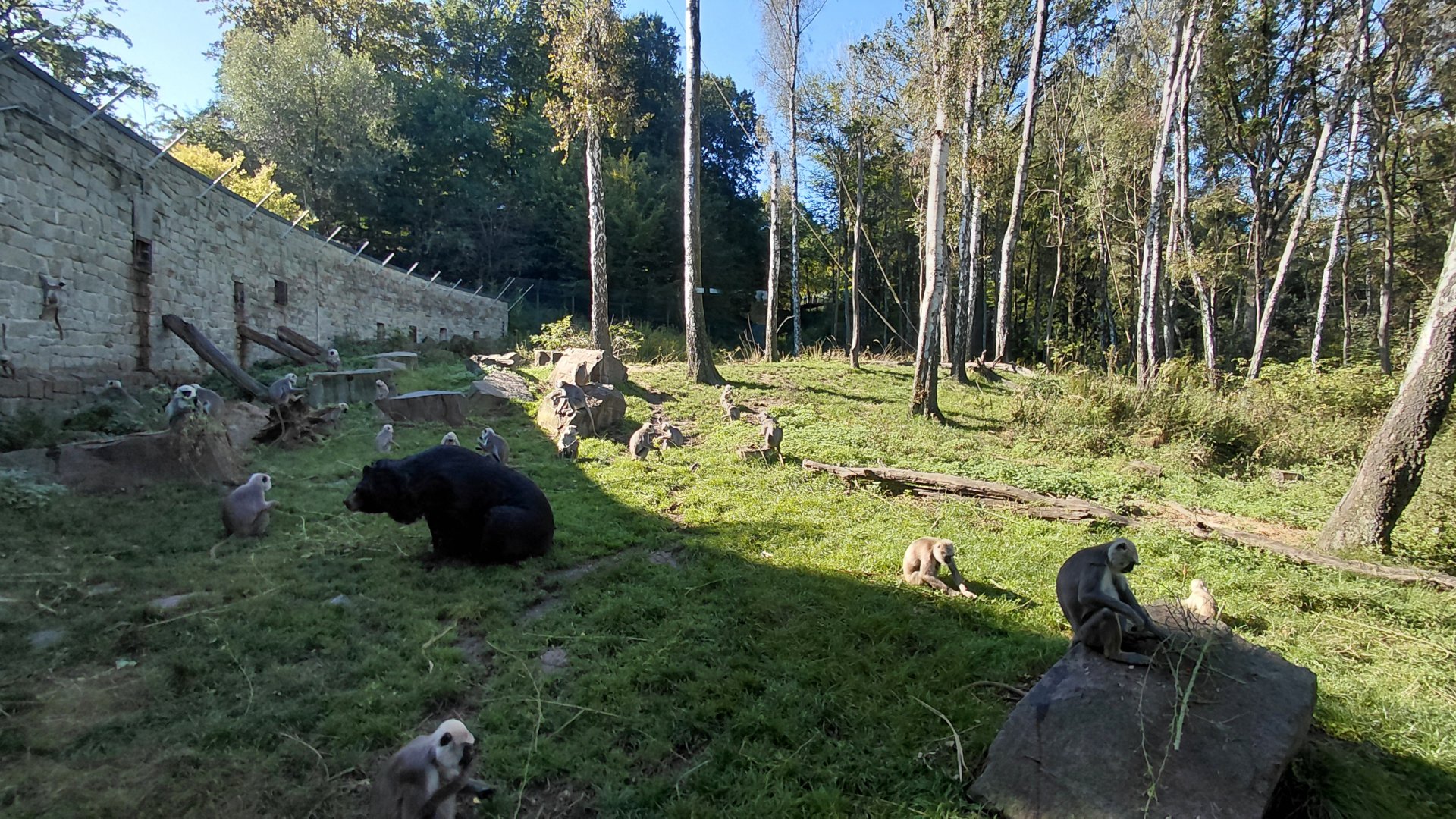 Chitwan - bear+langur exhibit