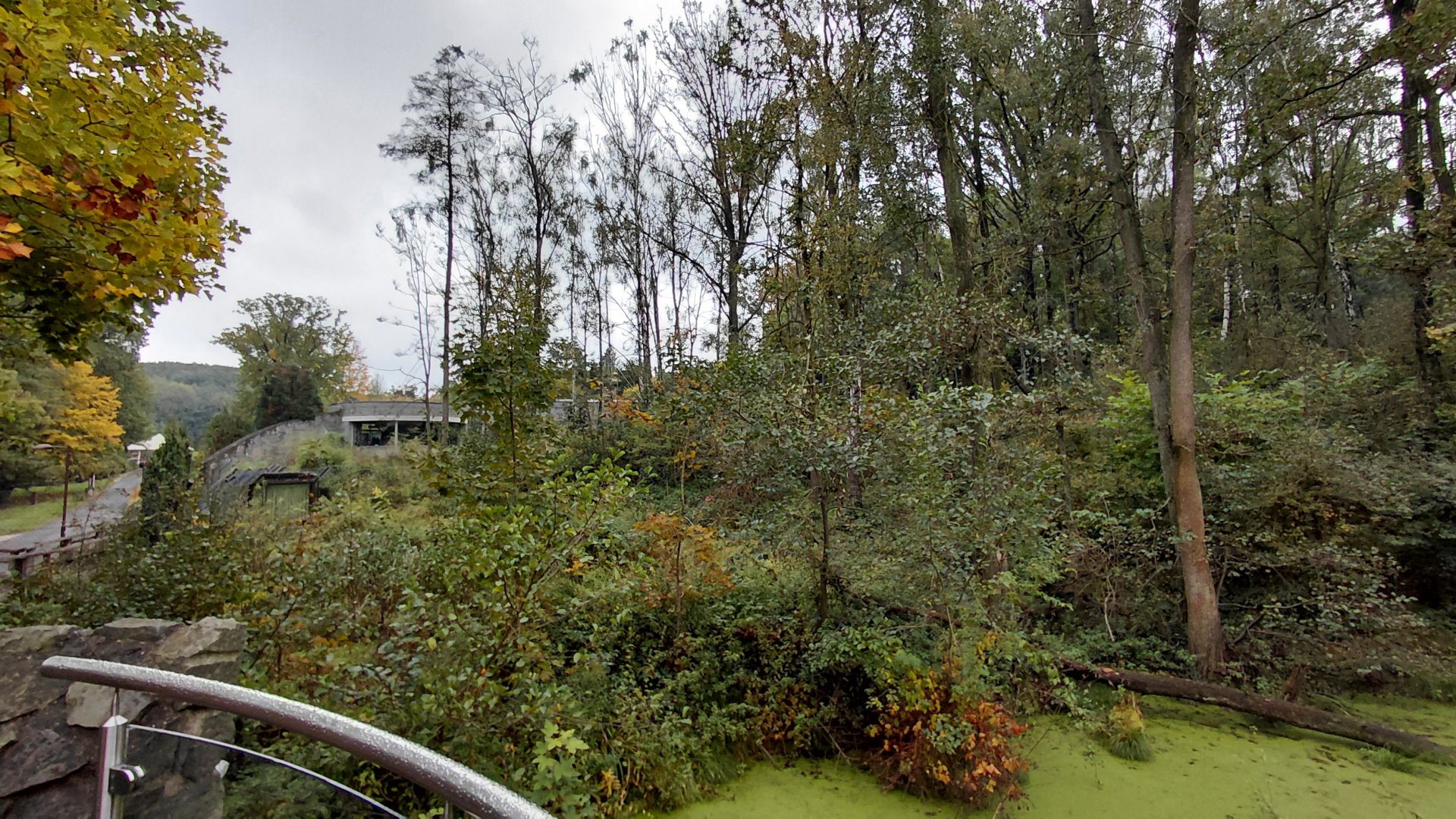 Chitwan - bear+langur exhibit