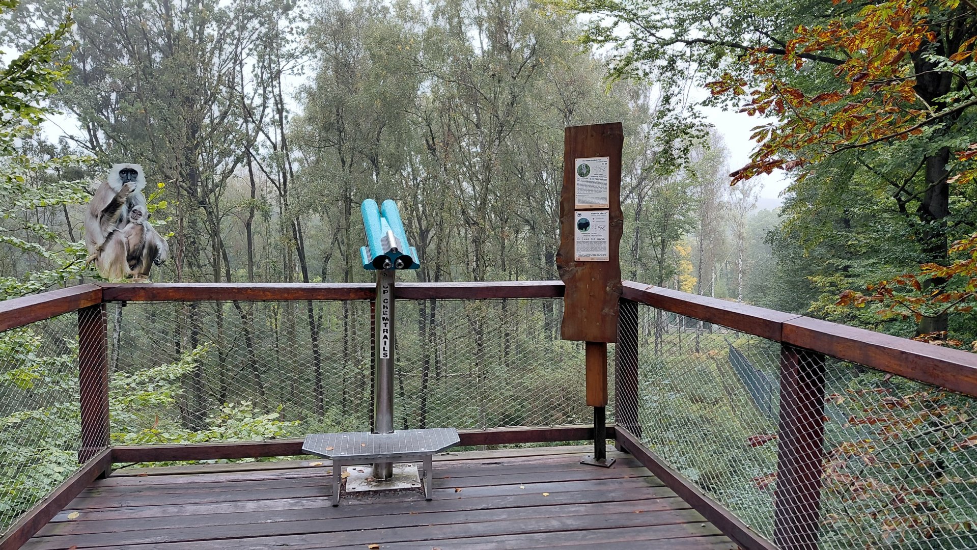 Chitwan - bear+langur exhibit