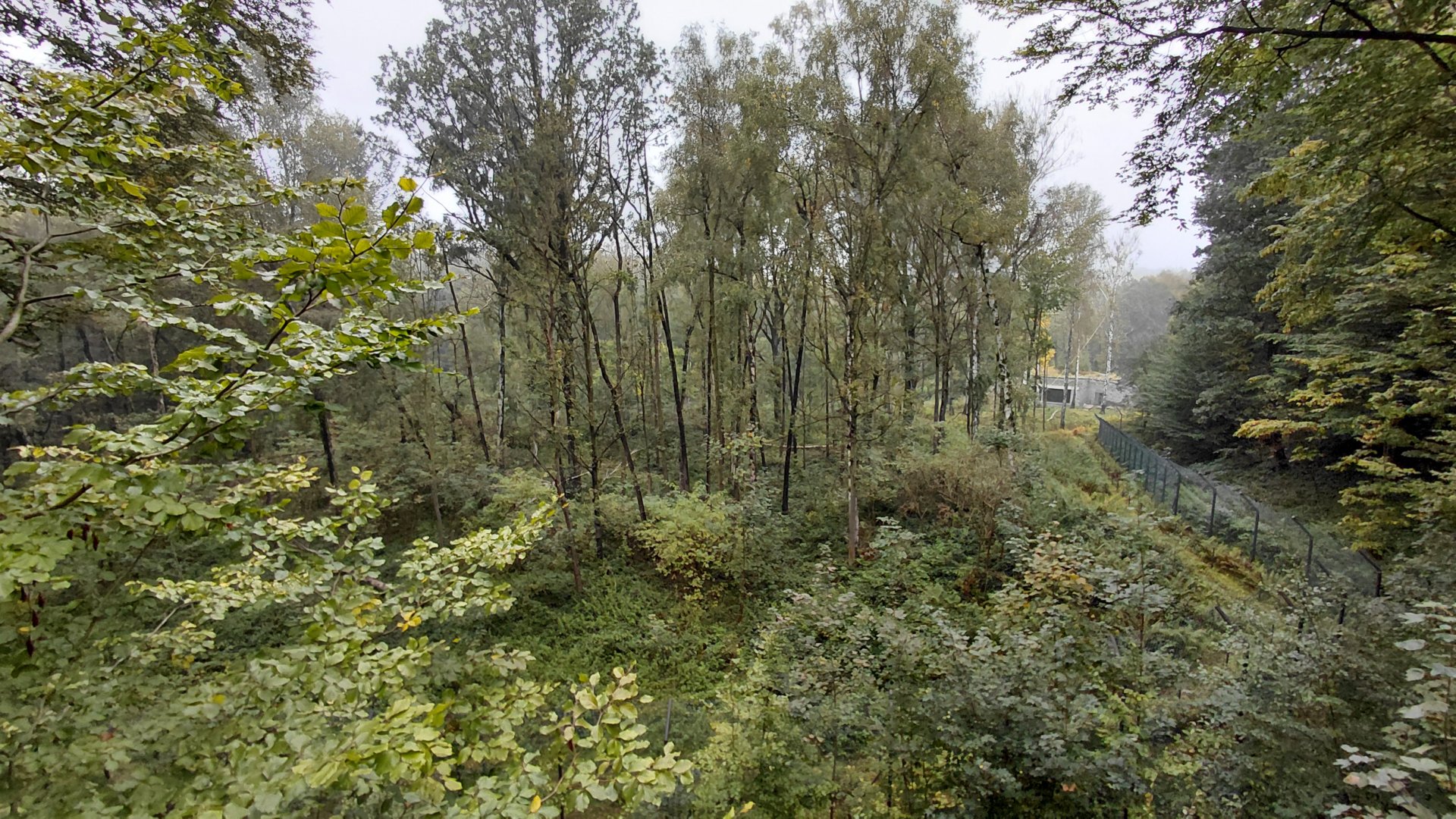 Chitwan - bear+langur exhibit