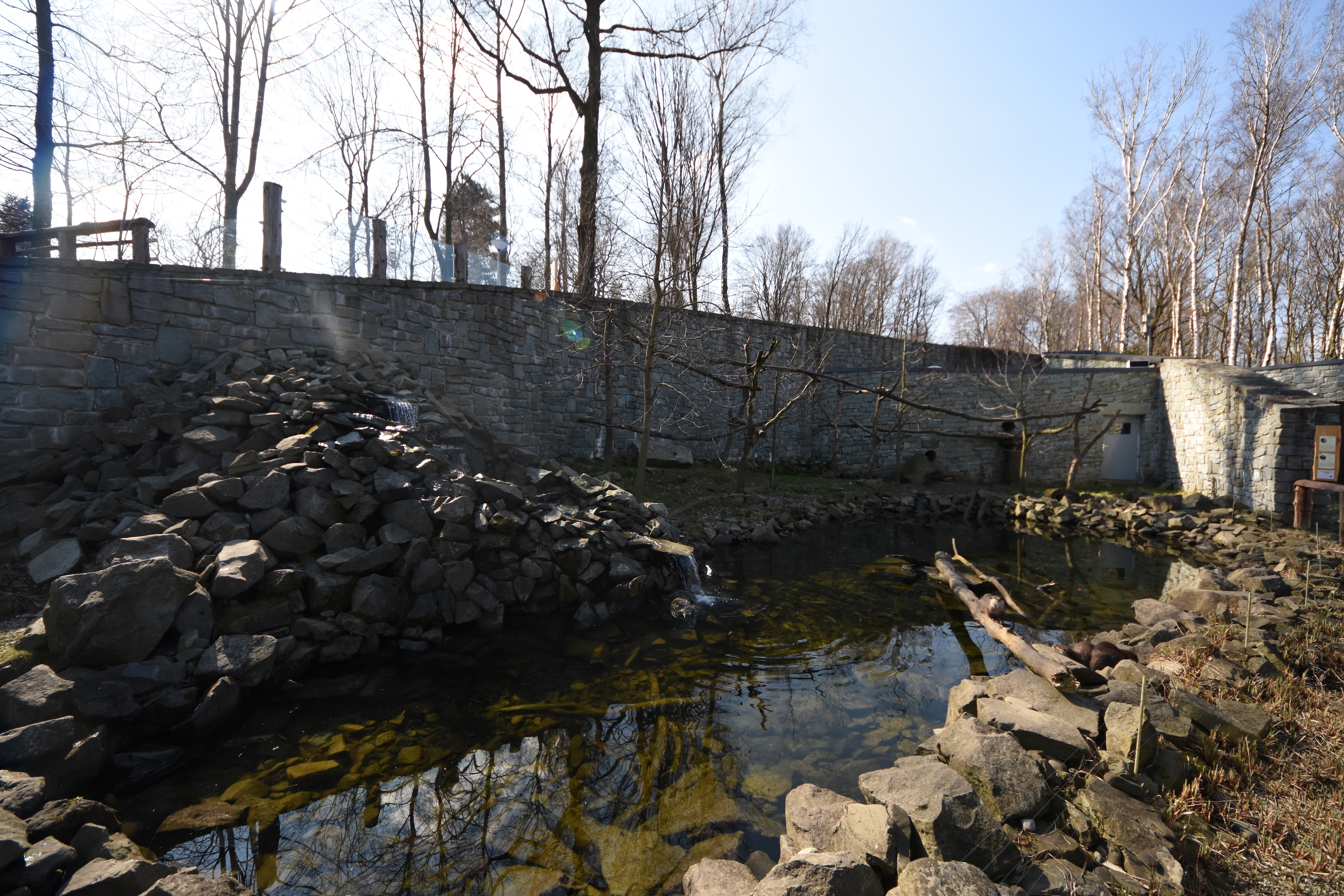 Chitwan - Binturong and Otter