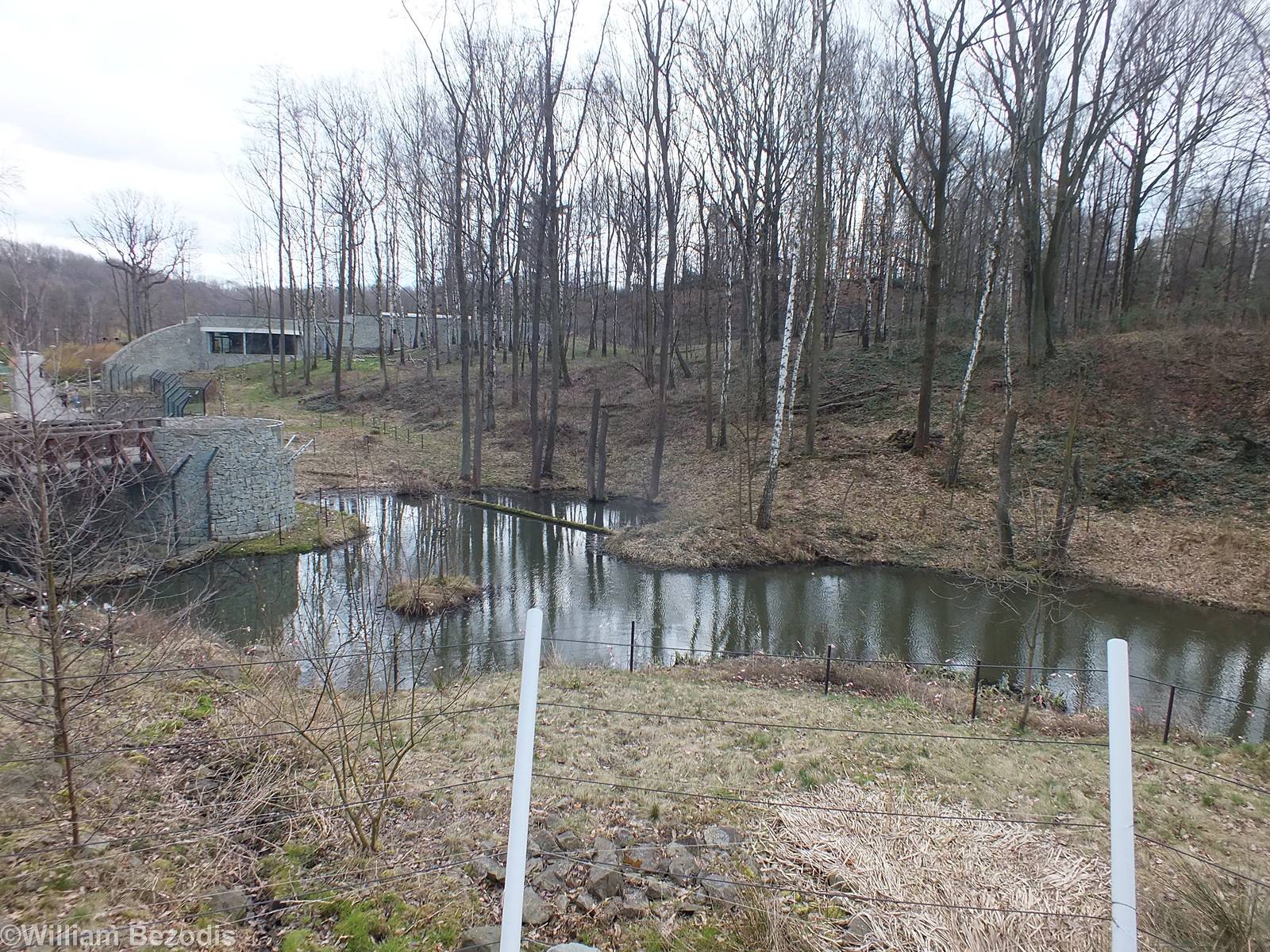 Chitwan - Enclosure for Terai Sacred Langurs and Asiatic Black Bear