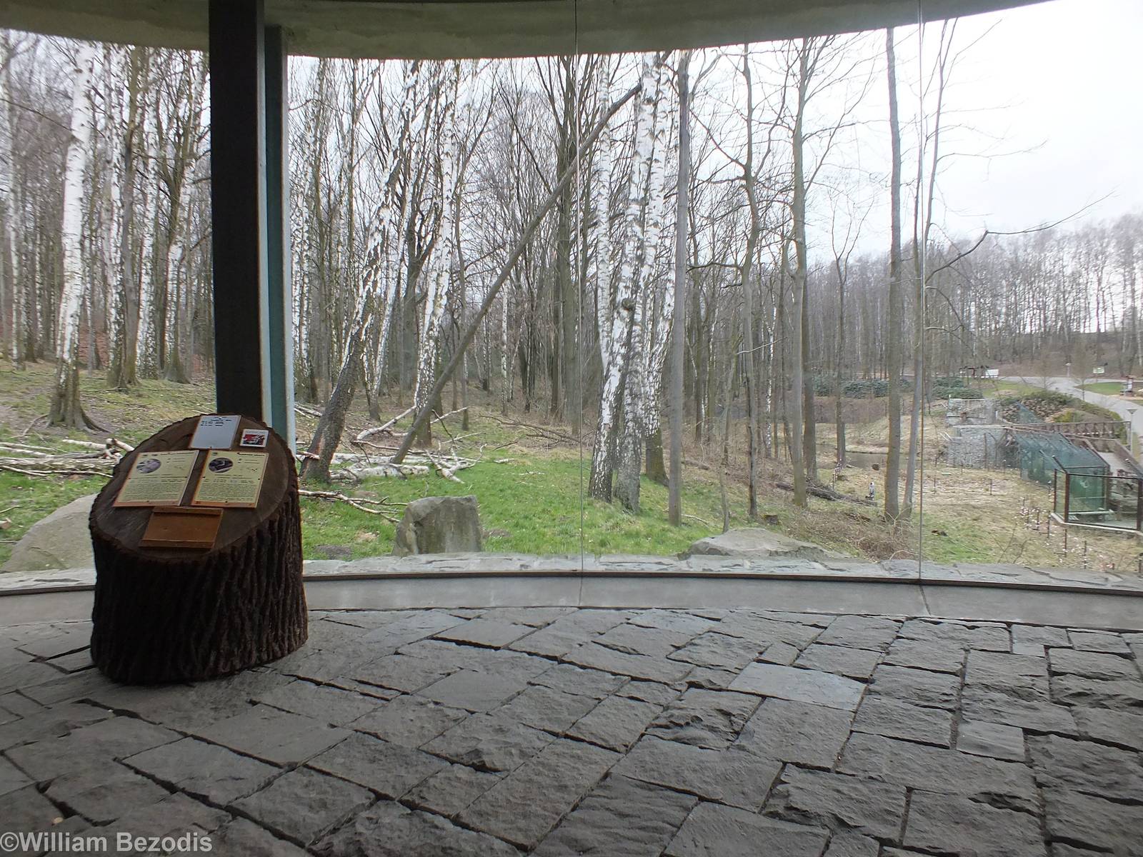 Chitwan - Inside of Viewing building for Langur and Bear Enclosure