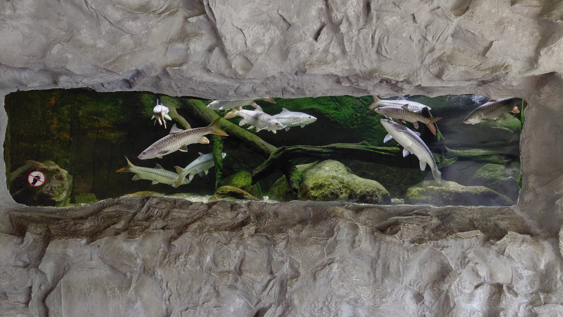 Chitwan - Kali Gandaki tank