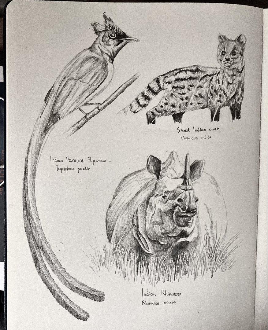 Chitwan National Park - Page 1