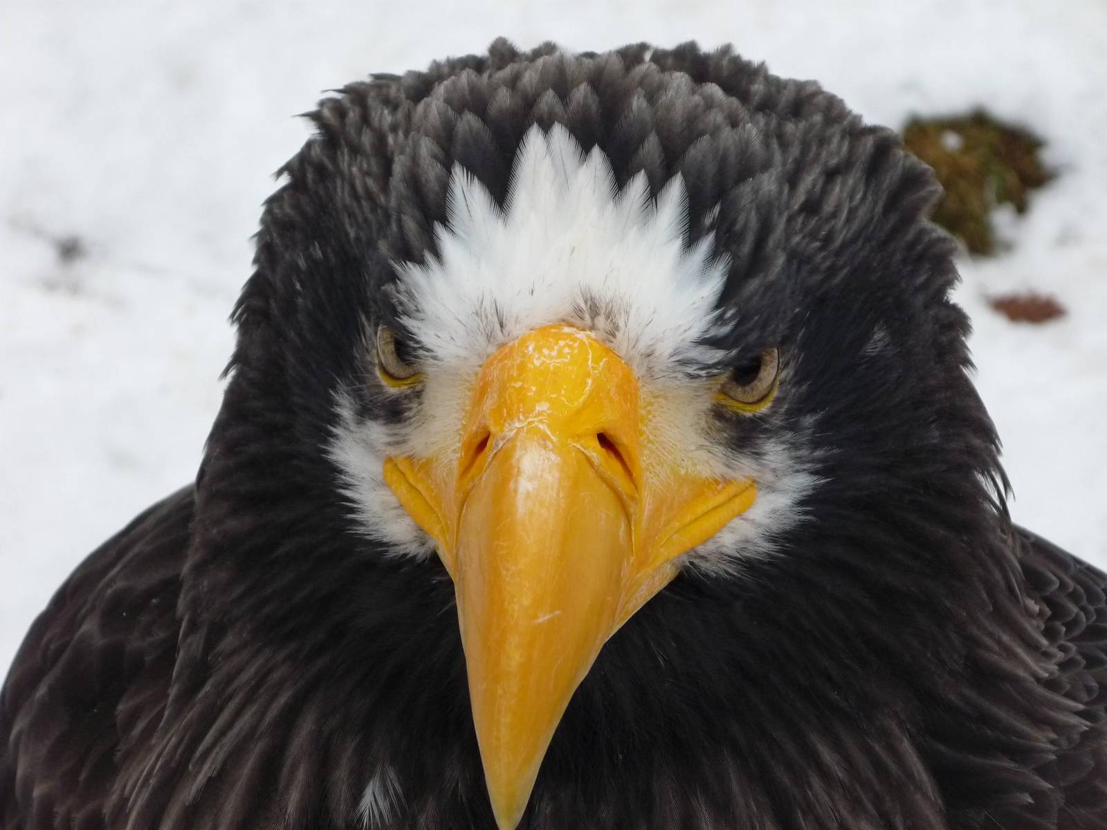 Chomutov Zoopark 2009