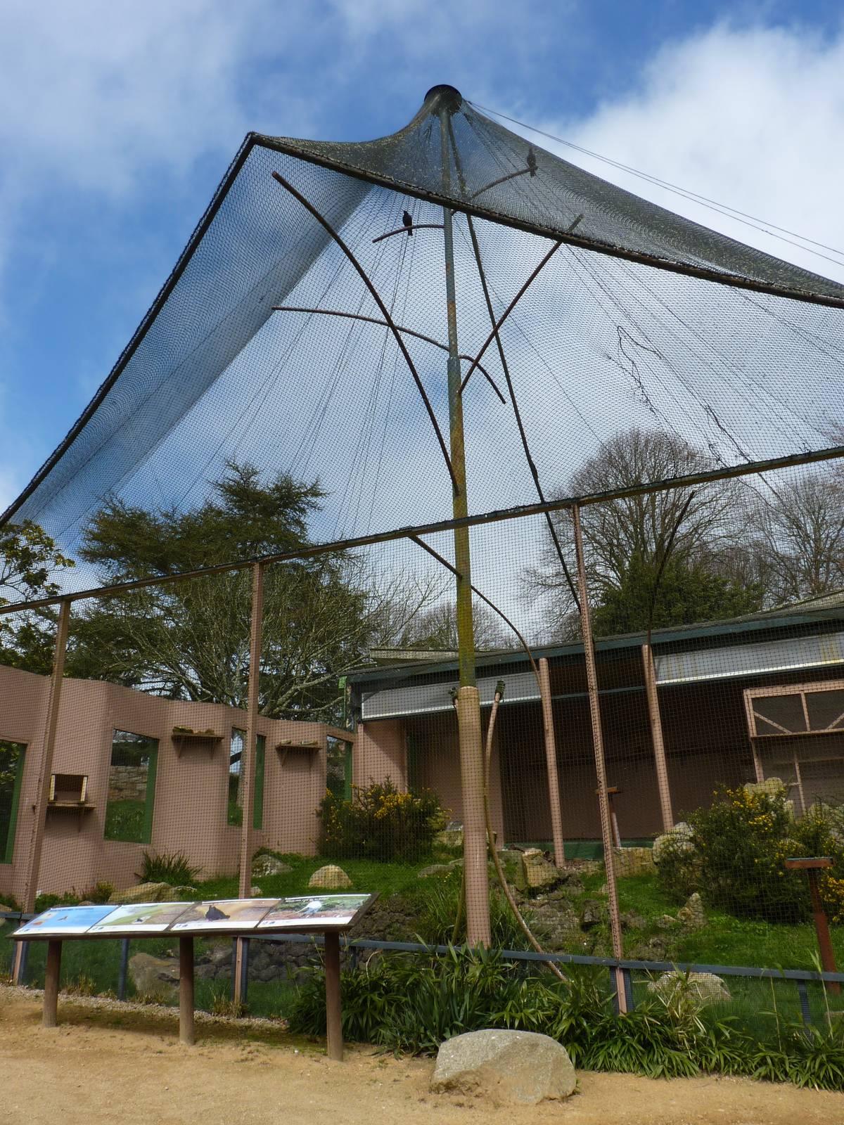 Chough Aviary, April 2013