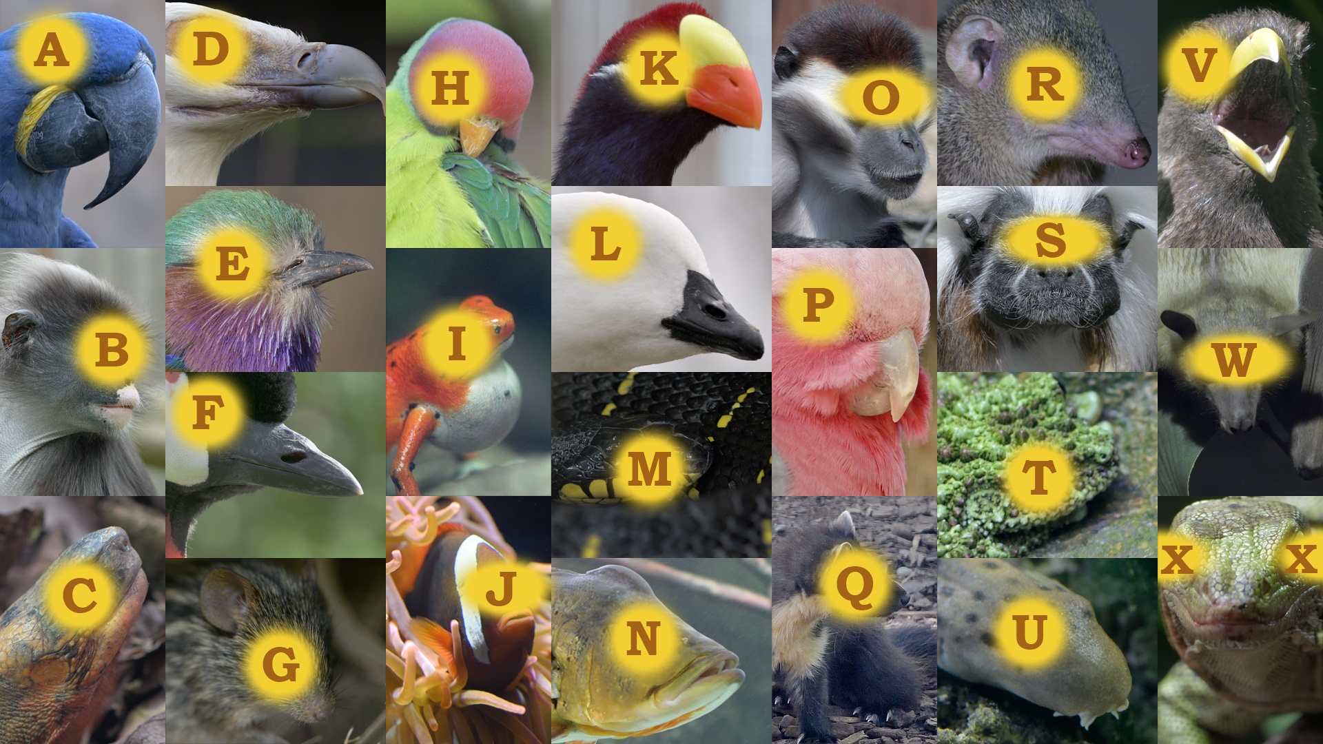 Christmas 2020 photo puzzle