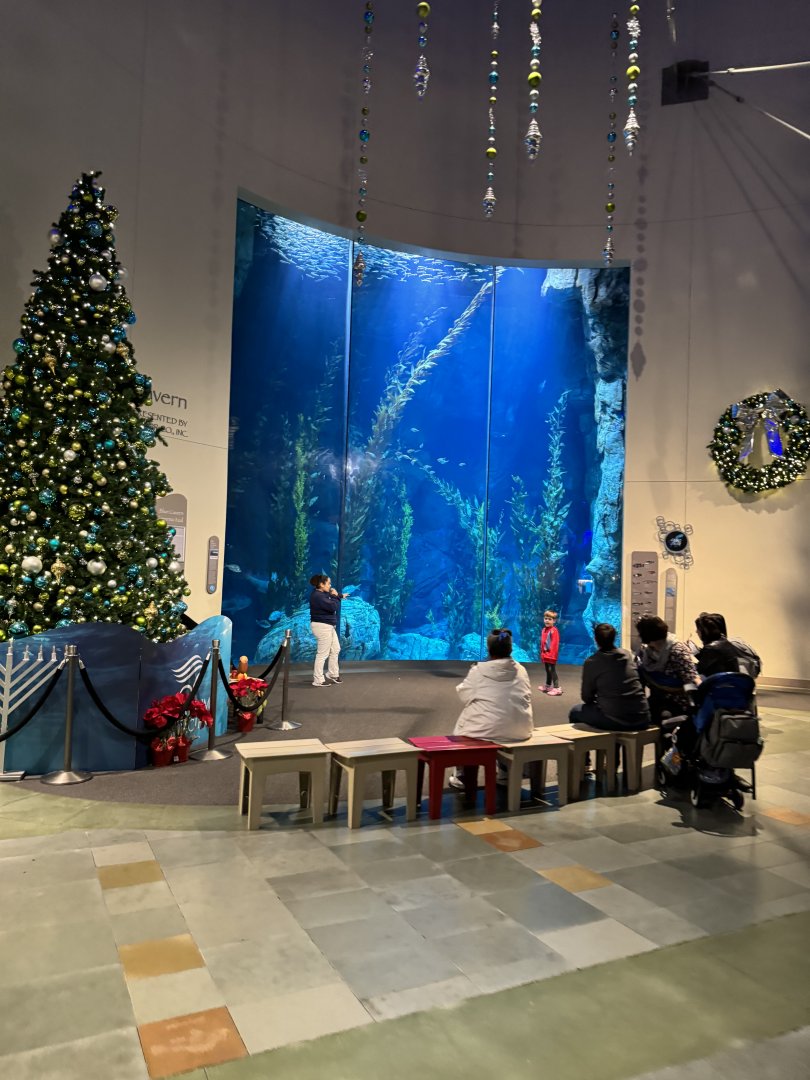 Christmas at the Blue Cavern