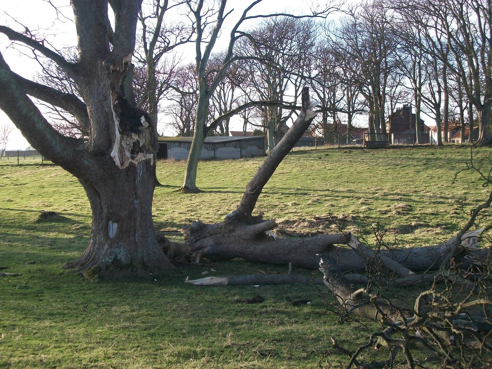Christmas Day 2013 damage