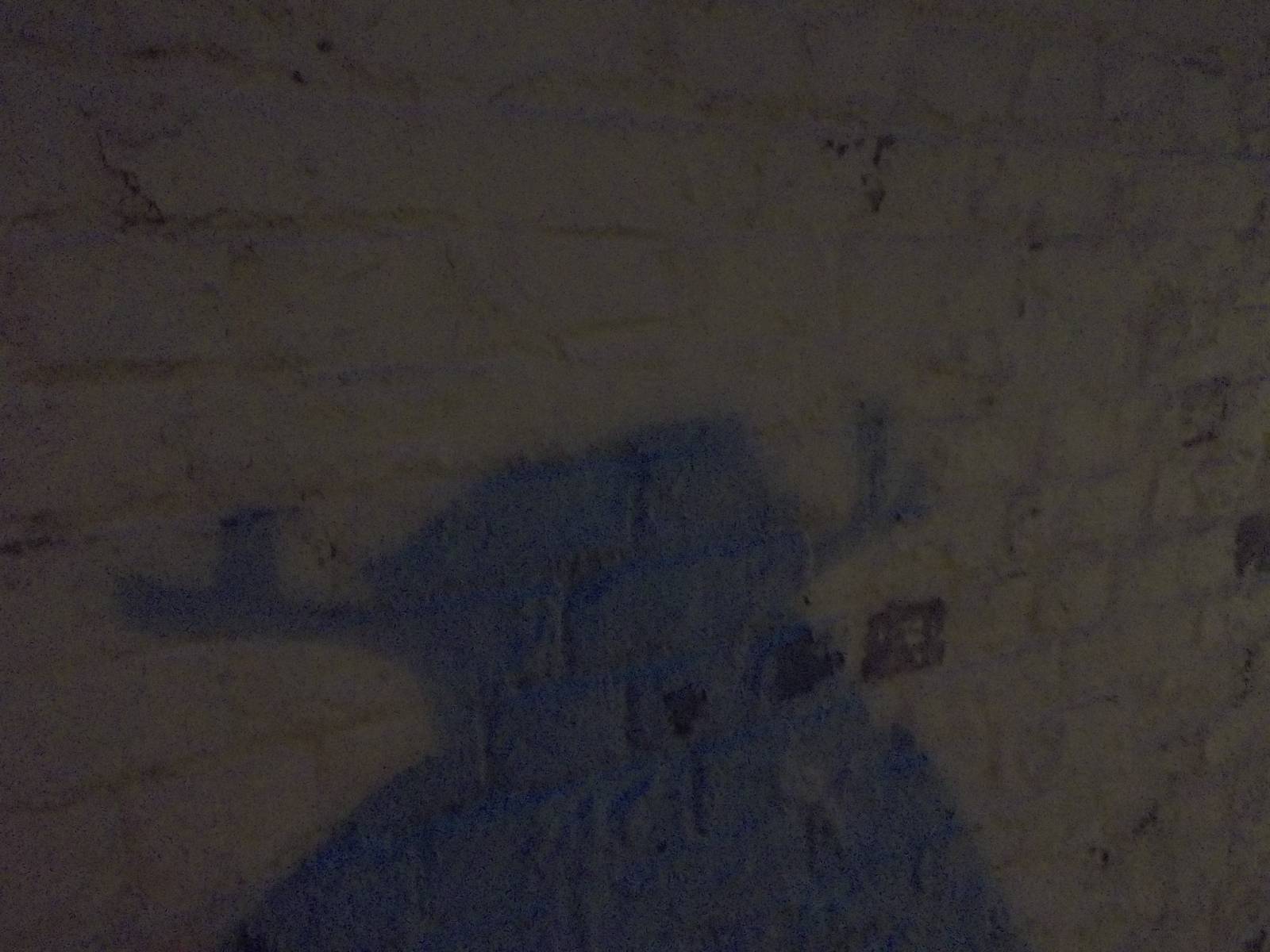 Christmas Day shadow on the wall outside the zoo kitchen, 25th December