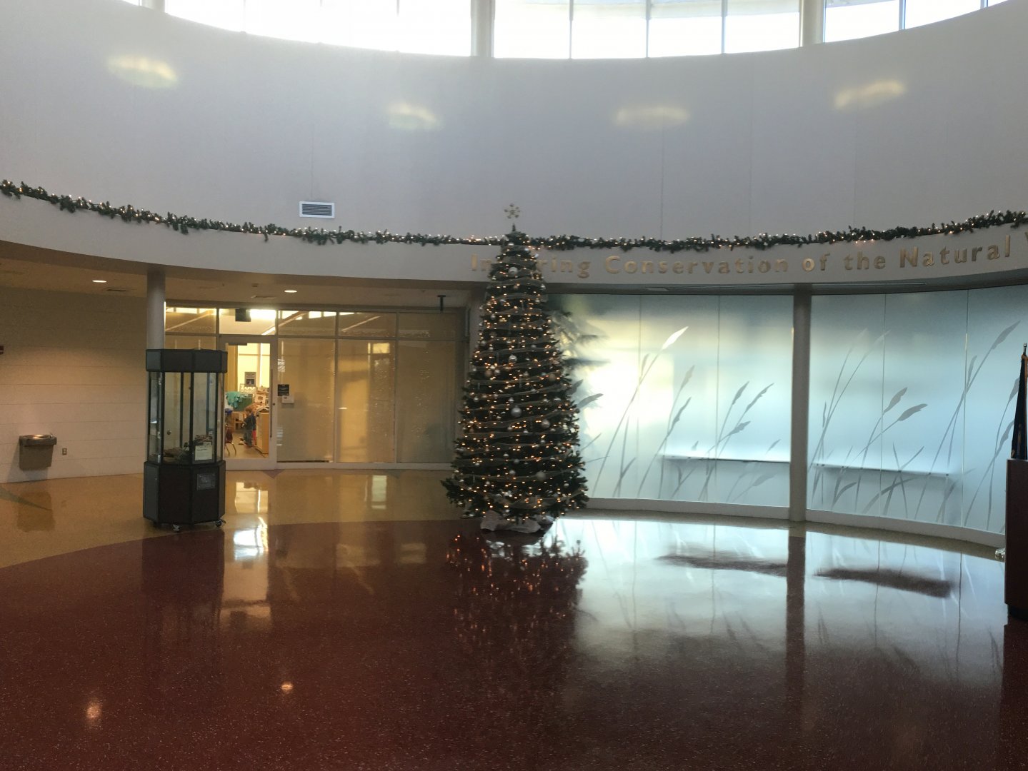 Christmas Decorations