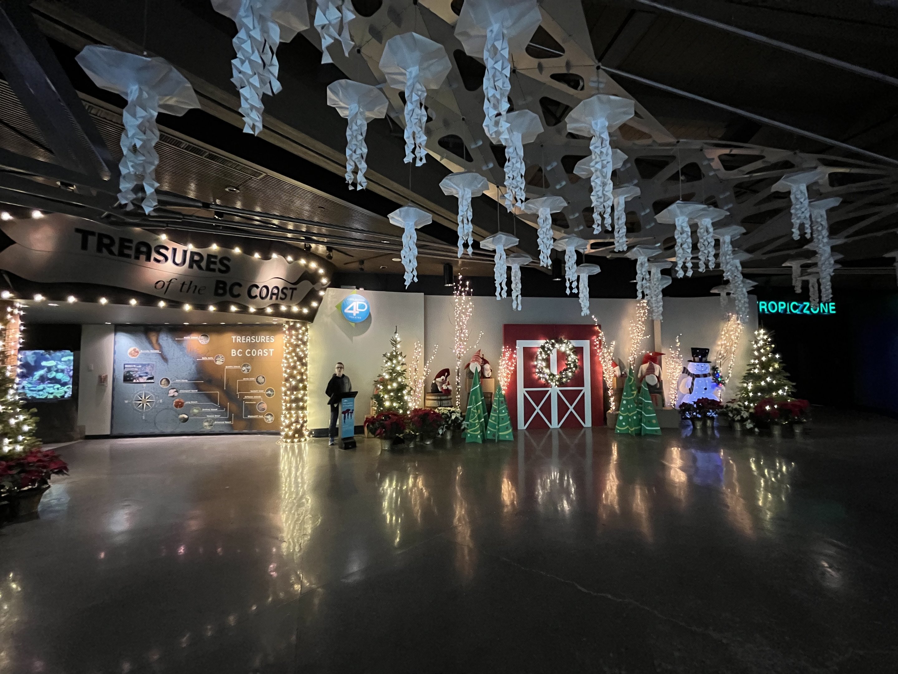 Christmas Decorations