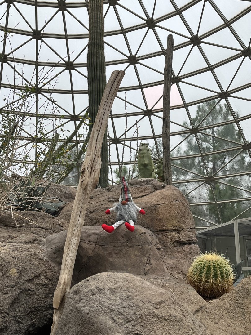 Christmas Gnome in Desert