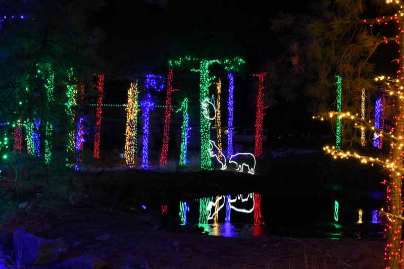 Christmas light display