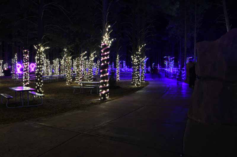 Christmas light display