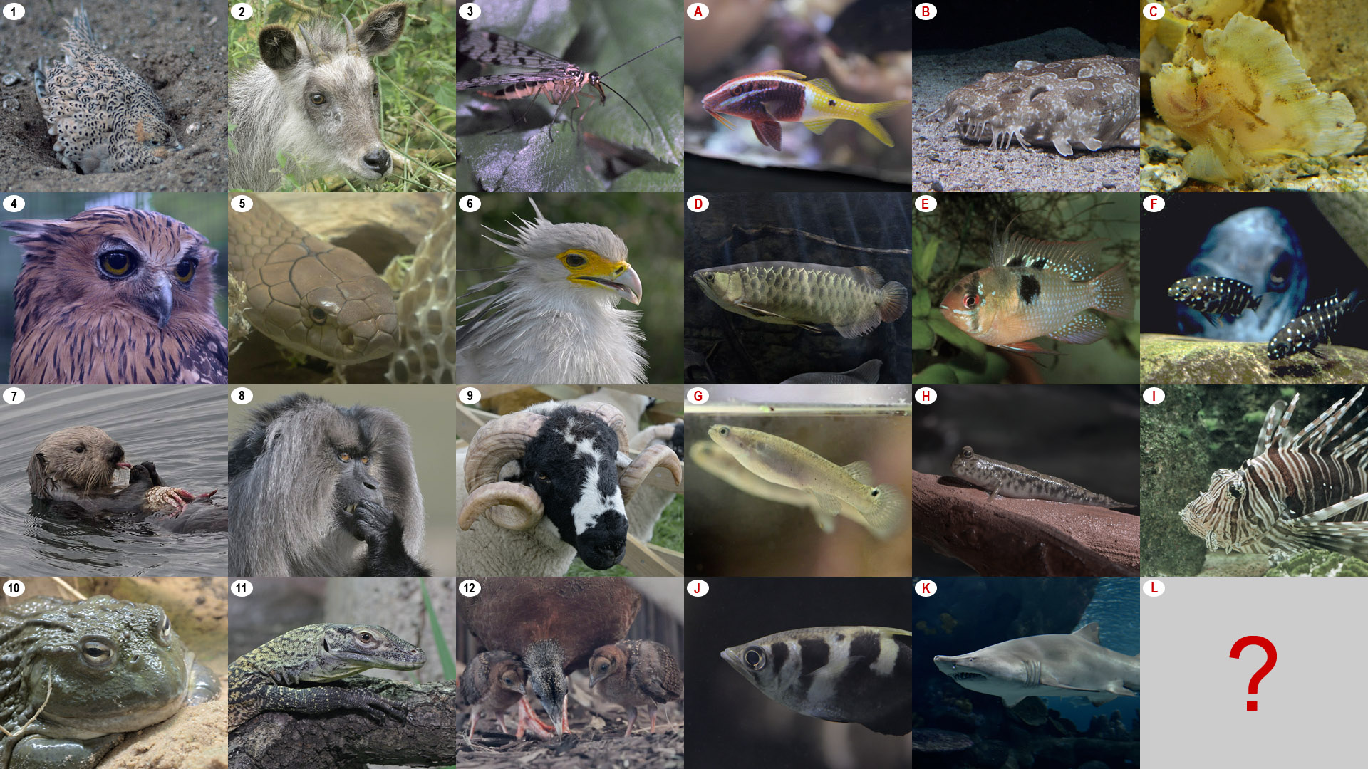 Christmas Photo Puzzle 2023