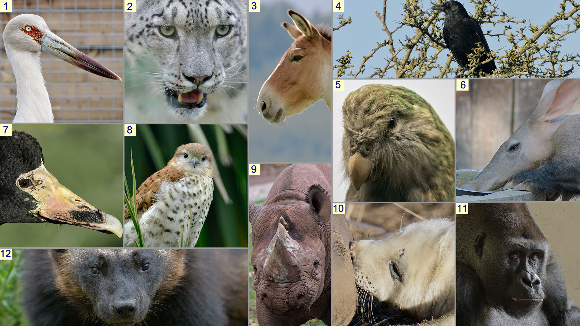 Christmas Photo Quiz wider views