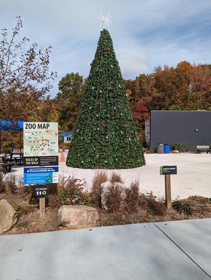 Christmas tree for Winter Wonderlights