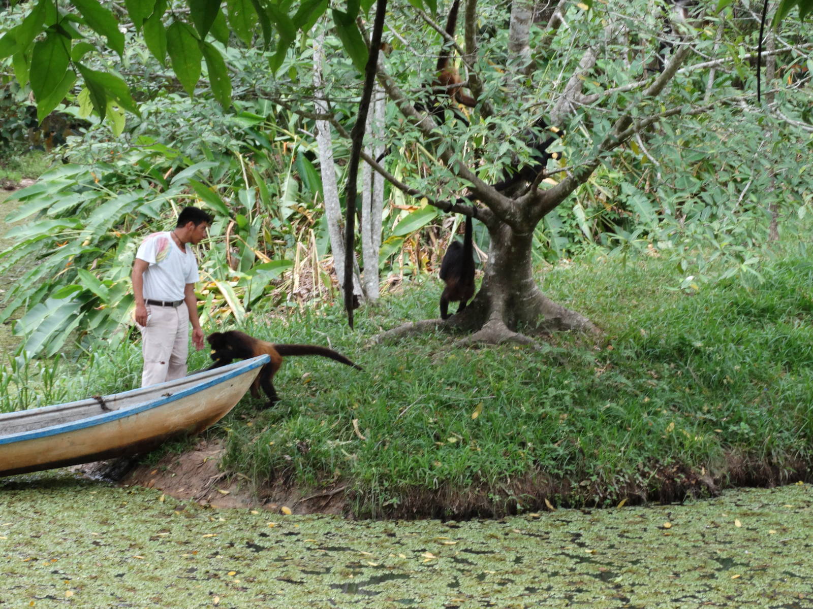 Chucho con su manejador