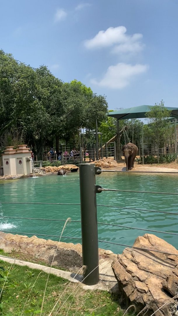 Chuck the new kid on the block