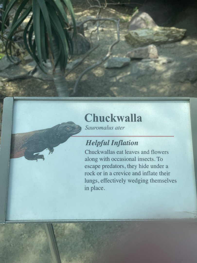 Chuckwalla Signage