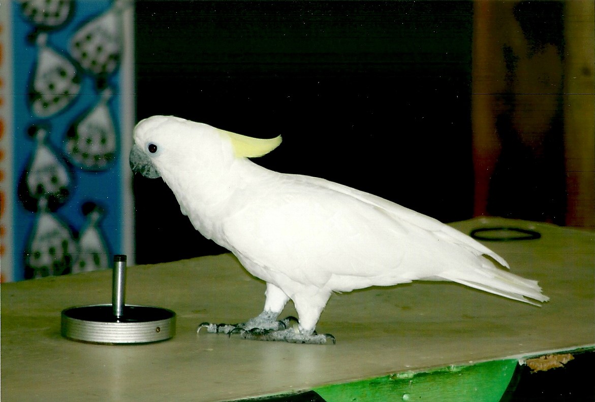 Chucky, September 2013