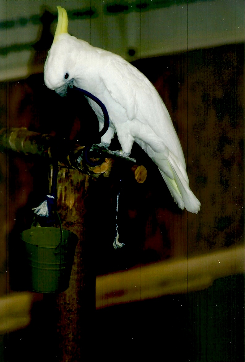 Chucky, September 2013