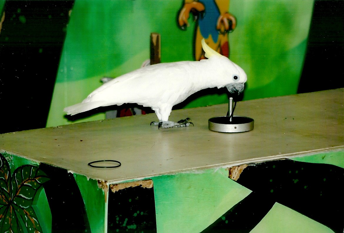 Chucky, September 2013