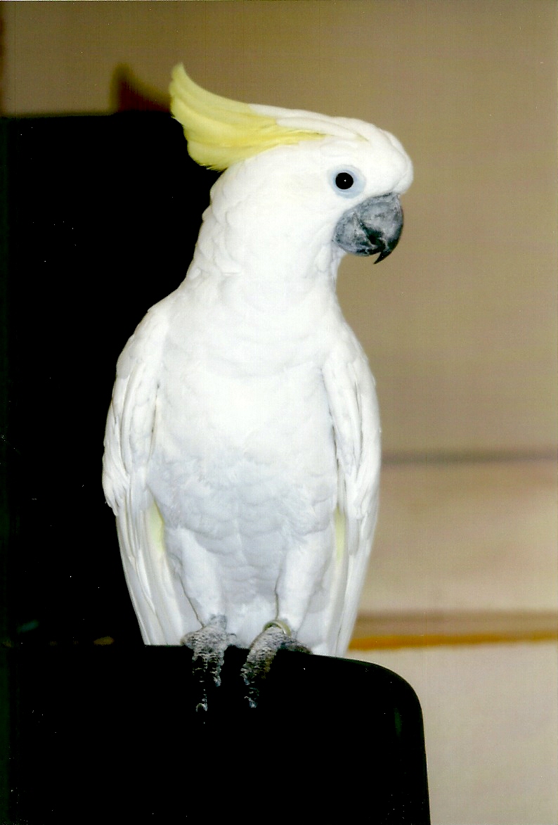 Chucky, September 2013