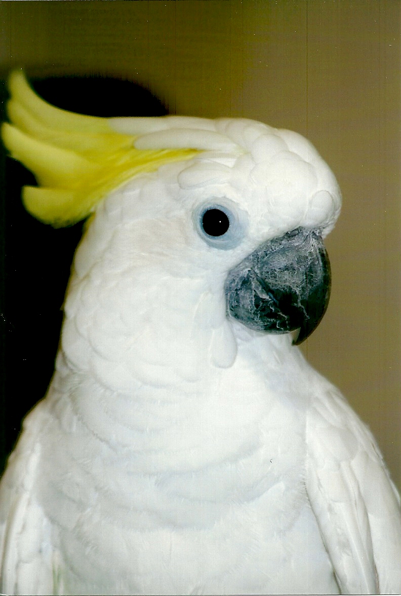 Chucky, September 2013