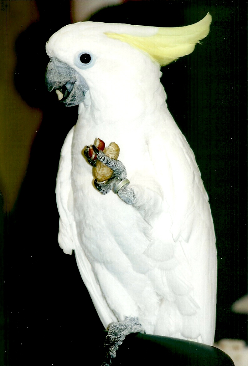 Chucky, September 2013