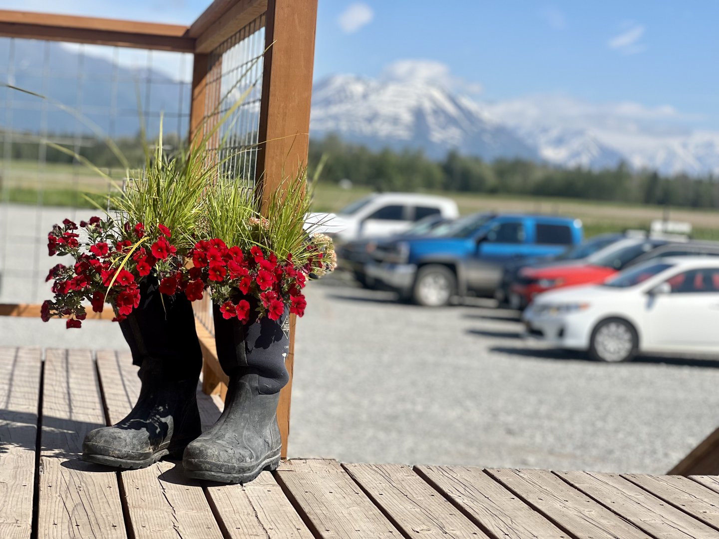 Chugach Mountains and Parking Lot from the Gift Shop