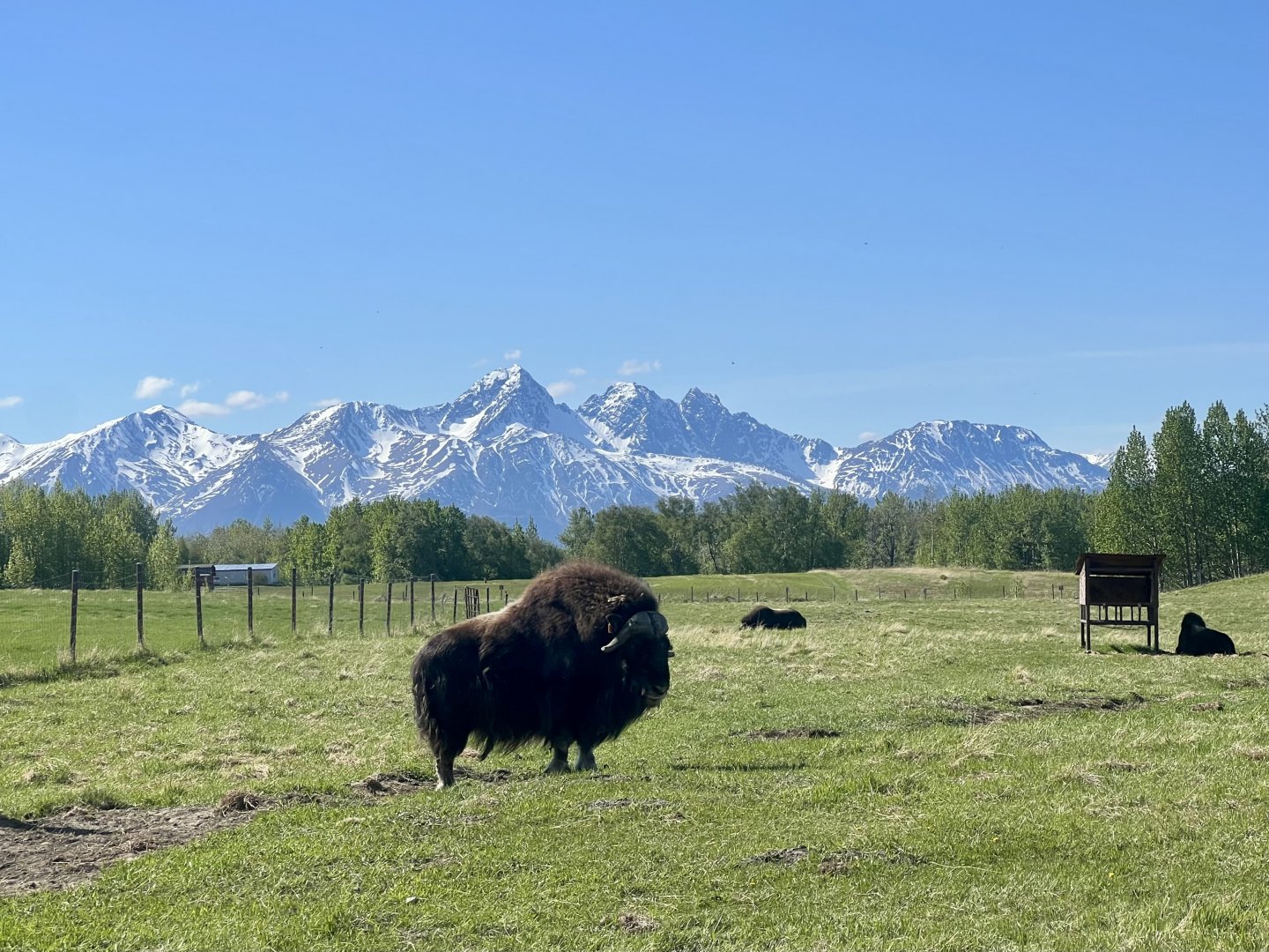 Chugach Mountains