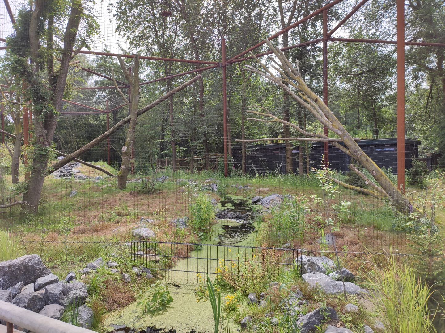 Churchill - bald eagle and raven aviary
