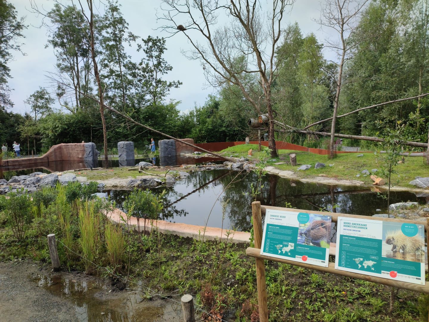 Churchill - North American beaver & North American porcupine enclosure