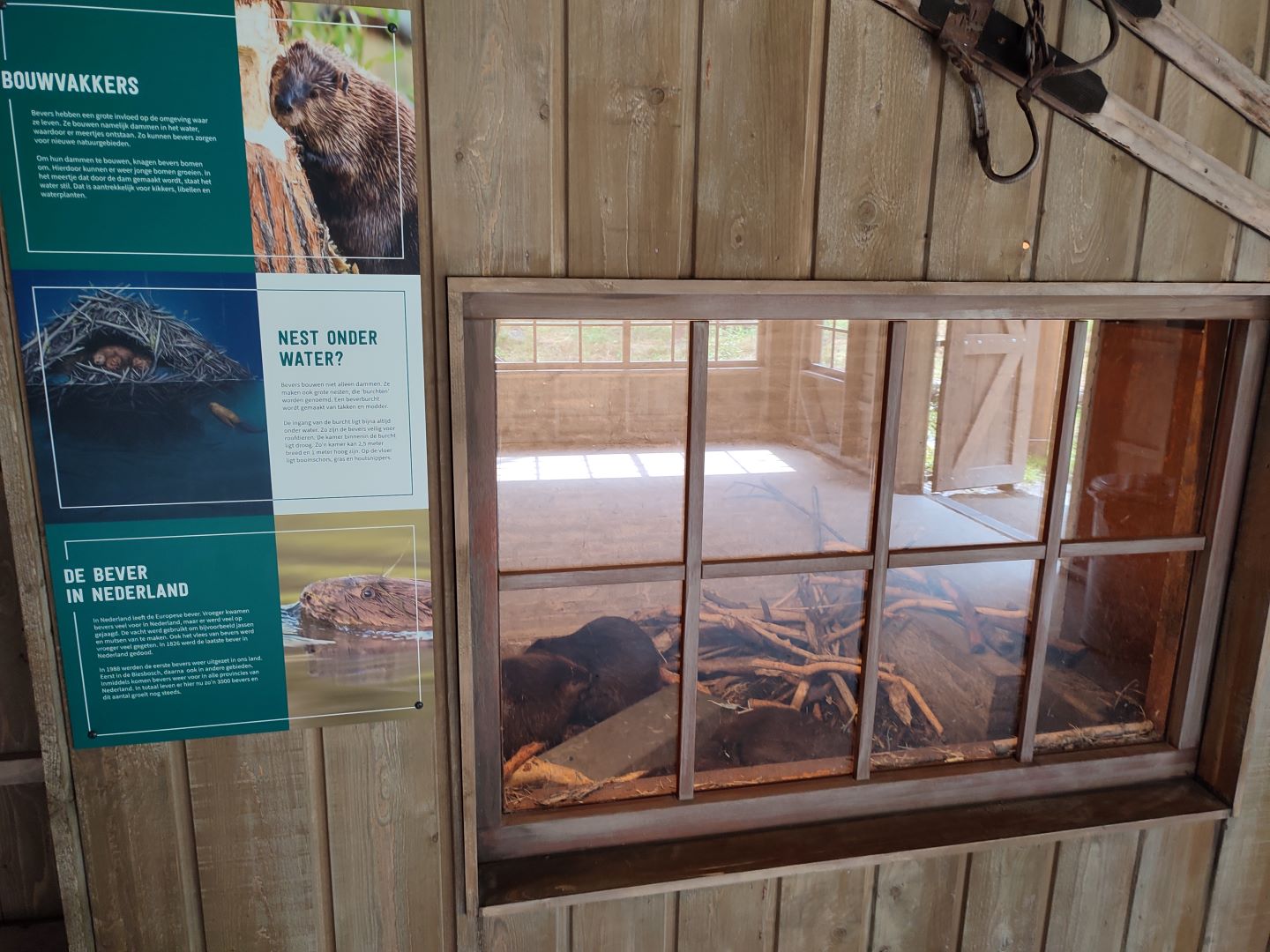 Churchill - Observation den, beaver burrow