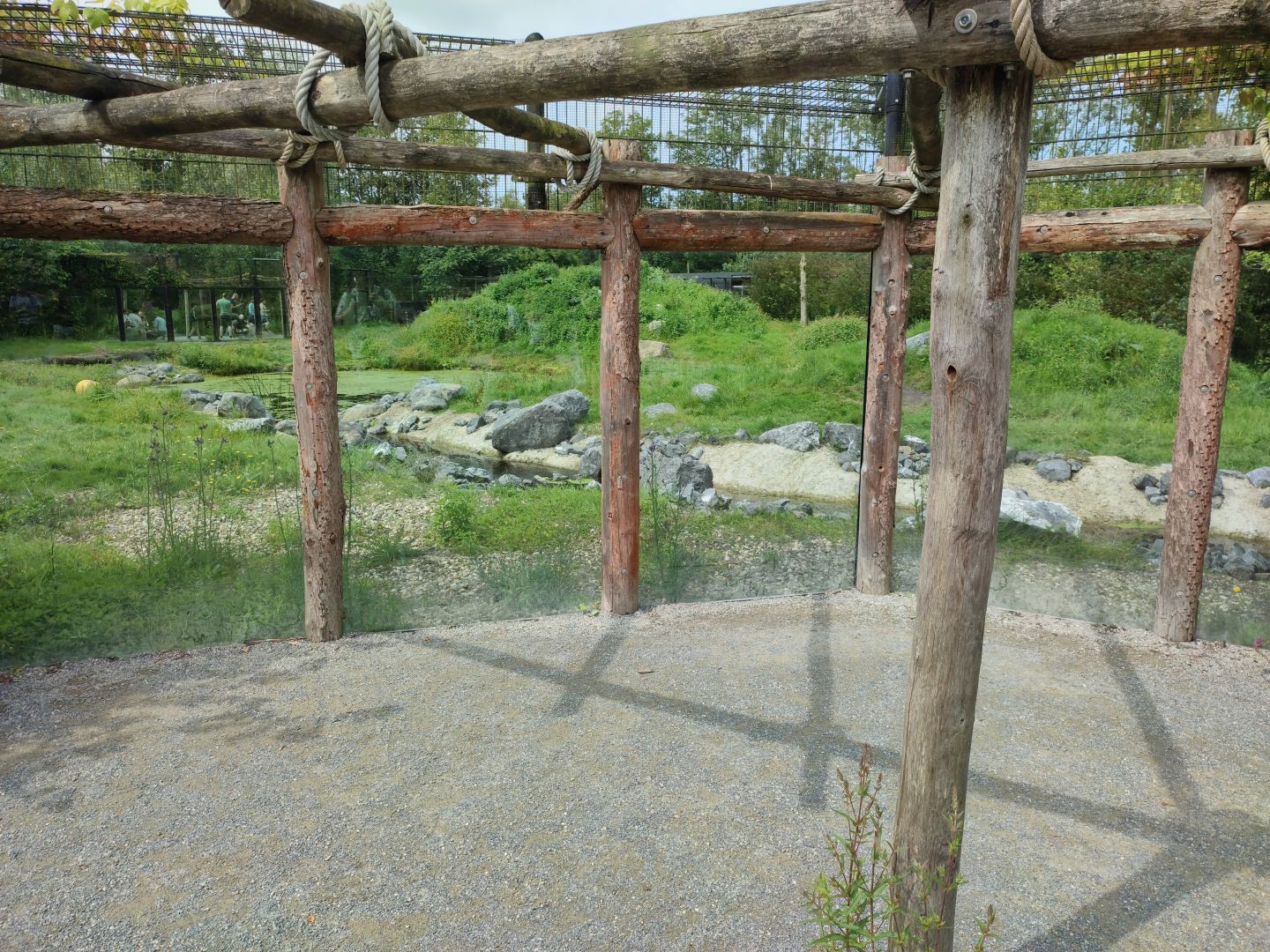 Churchill - polar bears, first enclosure