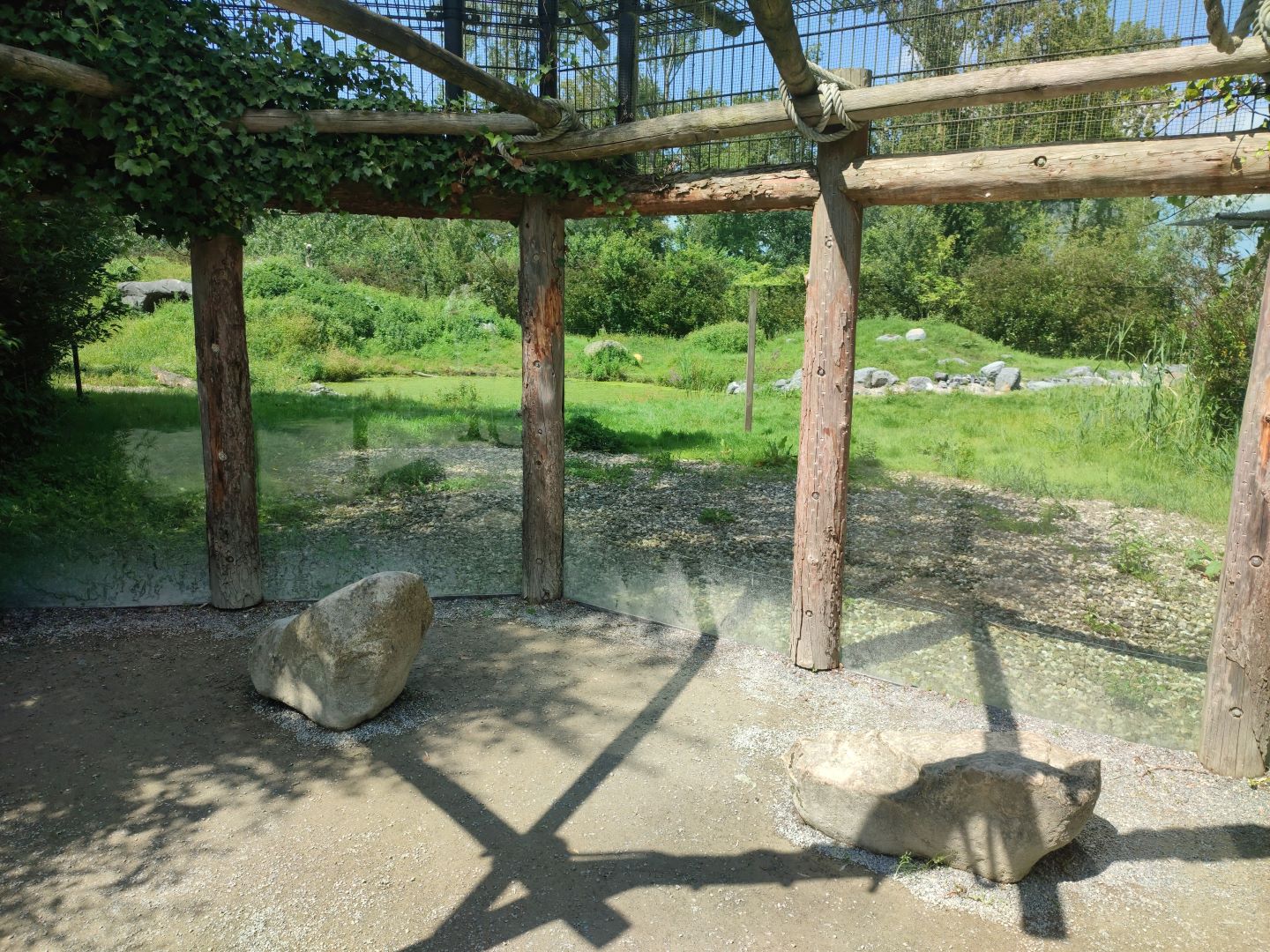 Churchill - polar bears, first enclosure