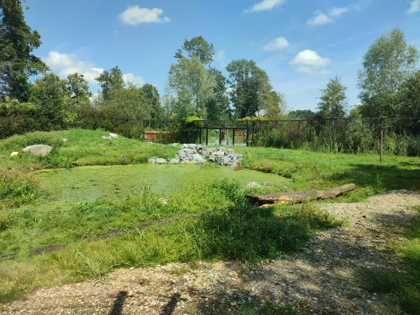 Churchill - polar bears, first enclosure
