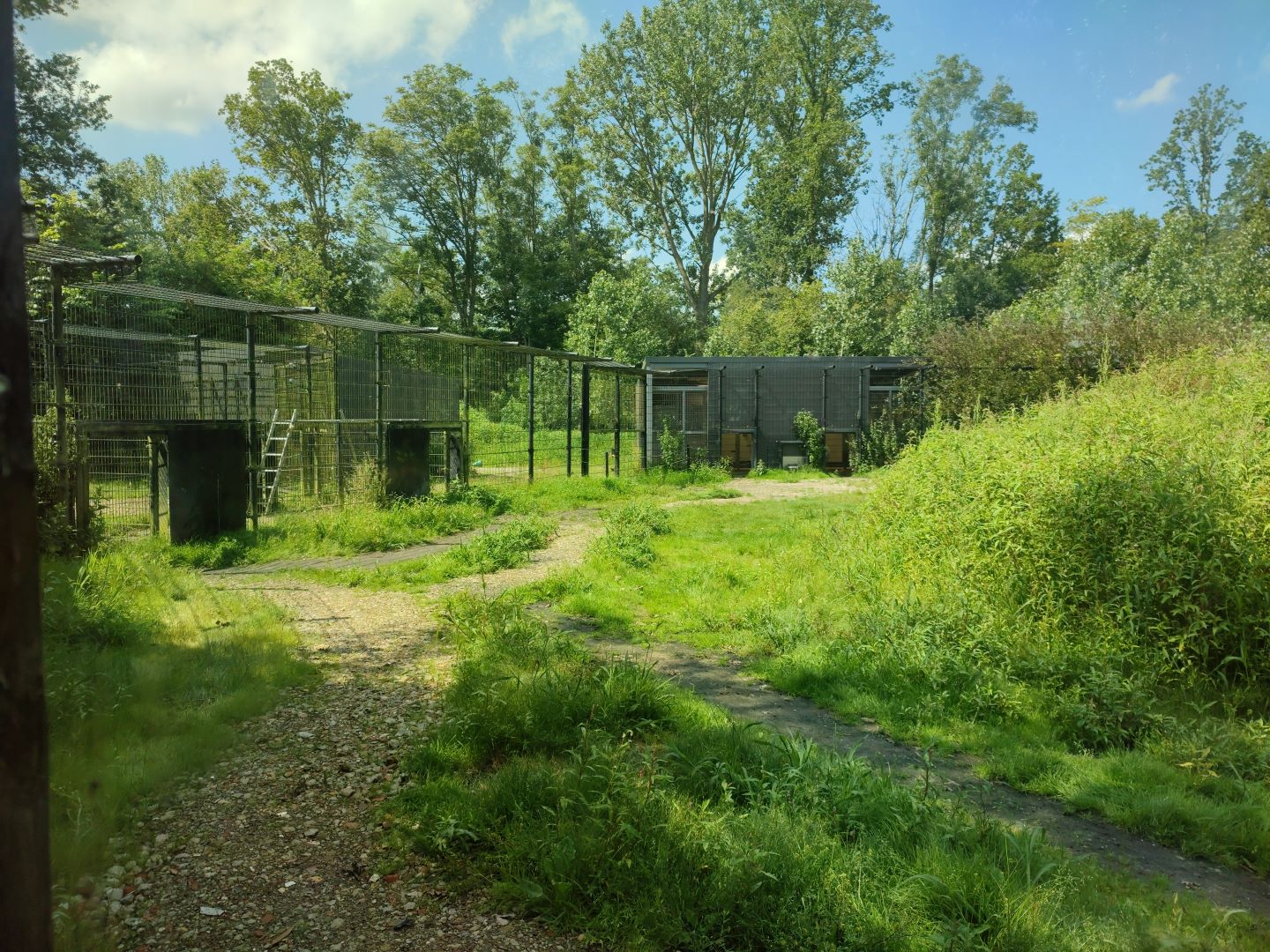 Churchill - polar bears, indoor enclosures