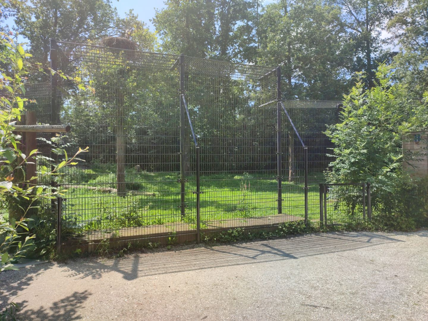 Churchill - polar bears, presentation fence